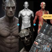 Gumroad – Design and Anatomy package