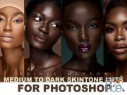 Sellfy – Prince Meyson – Medium to Dark SkinTone LUTs For Photoshop (Win/Mac)