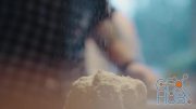 MotionArray – Sprinkling Flour On Dough 428416