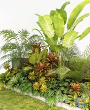 Palm Composition
