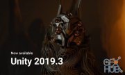 Unity Pro 2019.3.2f1 Win x64