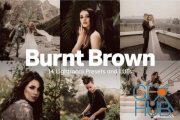 Envato – 14 Burnt Brown Lightroom Presets and LUTs