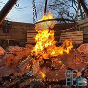 Fireplace FX Christmas Campfire