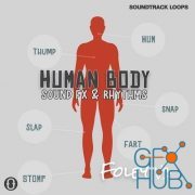 Soundtrack Loops Foley V3 Human Body Sound Effects & Rhythms