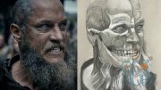 Udemy – The Skull Anatomy: Drawing Course