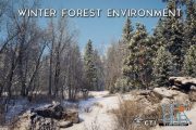 Unity Asset – Winter Forest Environment