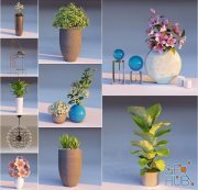 Lumion Potted Plants Vases and Chandelier Library