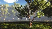 SpeedTree For Unity Subscription 7.1.7 Win