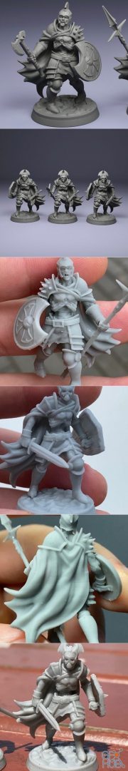 Undead Warrior (rage and battle stanse) – 3D Print