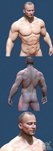 Male Naked Body (max, fbx, obj)