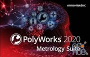 InnovMetric PolyWorks Metrology Suite 2020 IR7 Win x64