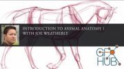 NMA - Introduction to Animal Anatomy 1 with Joe Weatherly