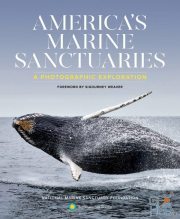 America's Marine Sanctuaries – A Photographic Exploration (EPUB)