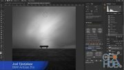 BW Artisan Pro X 2021 panel for Photoshop (Win/Mac)