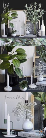 Decorative set with ficus and eucalyptus