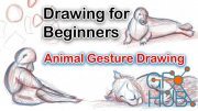 Drawing for Beginners: Learn to draw animals and capture the gesture