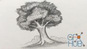 Udemy – Introduction to Pencil Drawing and Shading Course