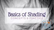 Skillshare - Basics of Shading: Concepts and Practice