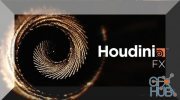 SideFX Houdini FX 18.0.499 Win x64