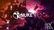 The Foundry Nuke Studio 11.3v4 Win x64