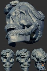 Skull Snake – 3D Print