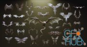 ArtStation – WINGS – 33 Character & Creature wings