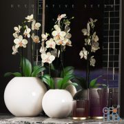 DECORATIVE SET 16 (orchid, vase)
