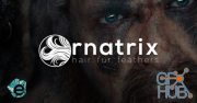 Ephere Ornatrix 2.4.2.20614 for Maya 2014 to 2019 Win x64