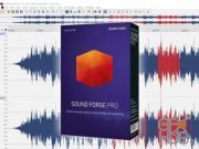 MAGIX SOUND FORGE Pro 13.0.0.96 Win x32/x64