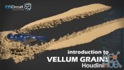 CGCircuit – Introduction to Vellum Grains