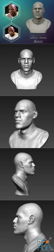 LeBron James Bust – 3D Print