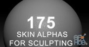 Texturing.xyz – 175 Skin Alphas for Sculpting