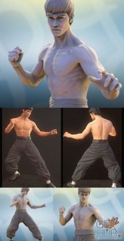 Bruce Lee Dragon Fighter