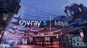V-Ray Advanced v5.10.21 for Maya 2018-2022 Win x64