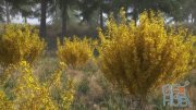 VIZPARK – Forsythia (10 shrub models for Spring and summer)
