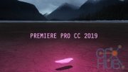 Adobe Premiere Pro CC 2019 13.0.0 for Win x64