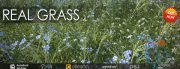 VIZPARK – Real Grass for 3ds Max, Cinema 4D, Modo OBJ, FBX and LightWave (Updated 11/28/2016)