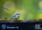 Topaz Sharpen AI 3.1.0 Win x64