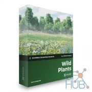 CGAxis – Wild Plants 3D Models Collection Volume 91