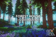 Forest House Environment v1.0