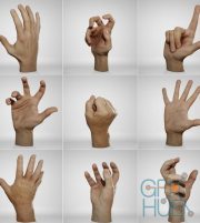 Anatomy360 – Male Hands Pack