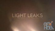 Vegasaur – Light Leaks Bundle