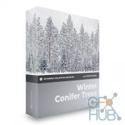 CGAxis – Winter Conifer Trees 3D Models Collection – Volume 98