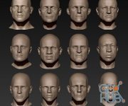 Cubebrush – 12 Male Heads