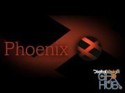 Digital Vision Phoenix / Nucoda v2021.1.003 Win x64