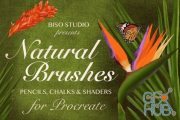 CreativeMarket - Natural Brushes for Procreate 4089280