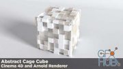 Skillshare – Creating Abstract Cube Cage With Cinema 4D and Arnold Renderer