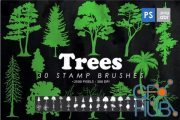 Envato – 30 Trees Photoshop Stamp Brushes