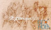 Pixologic ZBrush 2022.0.6 Win x64