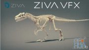 Ziva Dynamics Ziva VFX v1.922 for Maya Win x64